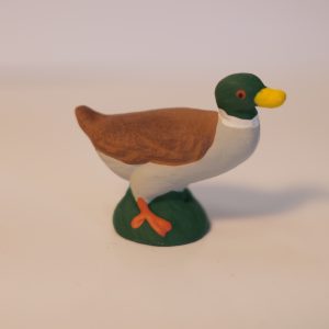 Canard