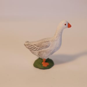 Canard