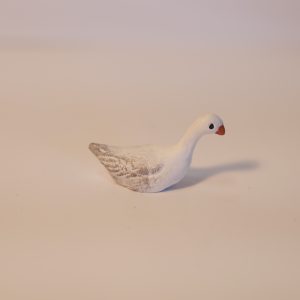 Canard