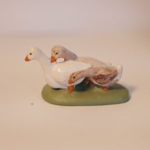 Canards