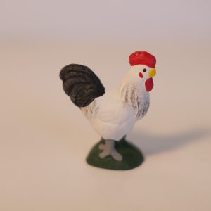 Coq blanc