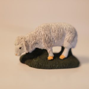 Mouton